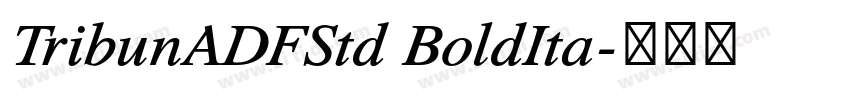 TribunADFStd BoldIta字体转换